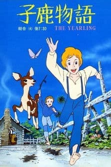 锦绣年华海报