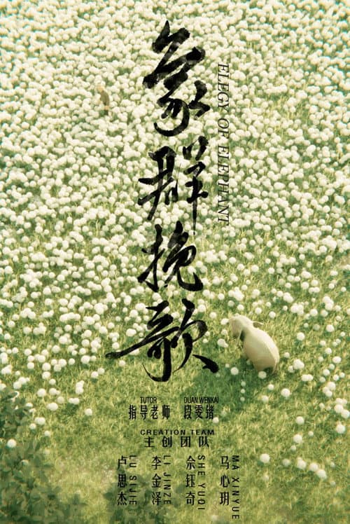 象群挽歌海报