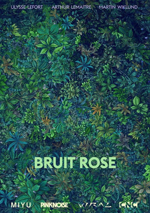 Bruit Rose海报
