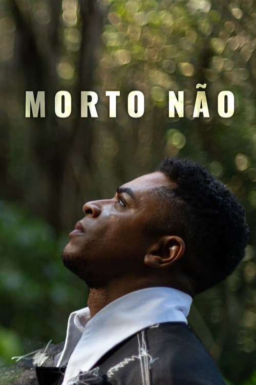 Morto Não海报