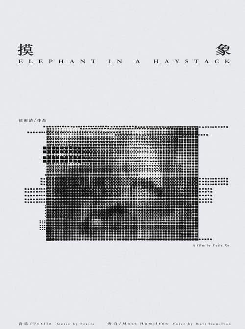 摸象海报