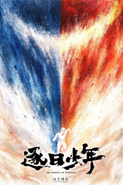 逐日少年海报