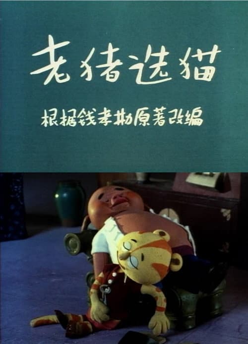 老猪选猫海报
