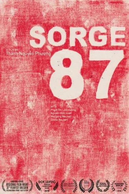 Sorge 87海报
