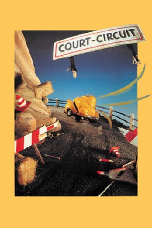 Court circuit海报
