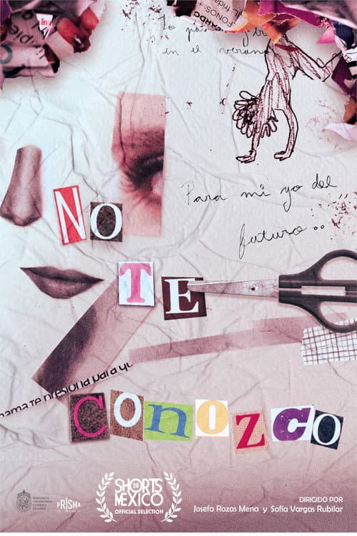No te conozco海报