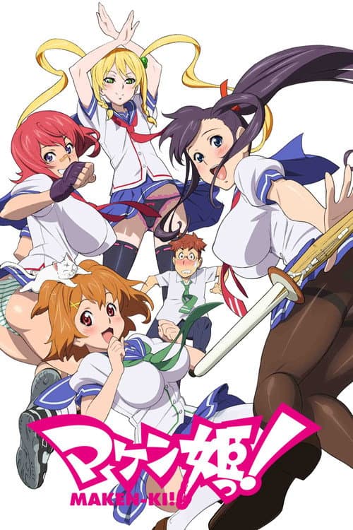 魔剑姬海报