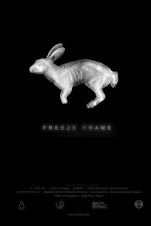 Freeze Frame海报