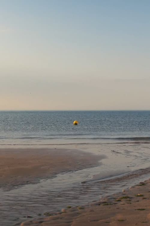 albion, refreshed海报