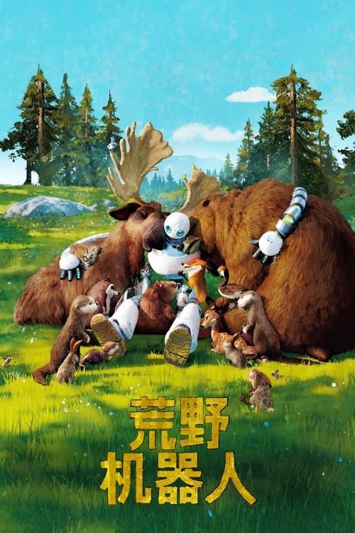 荒野机器人海报
