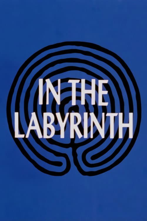 In the Labyrinth海报