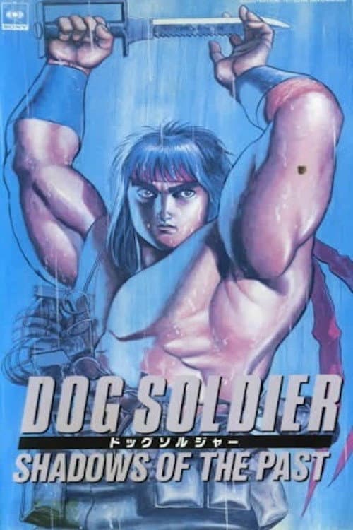 野犬奇兵海报