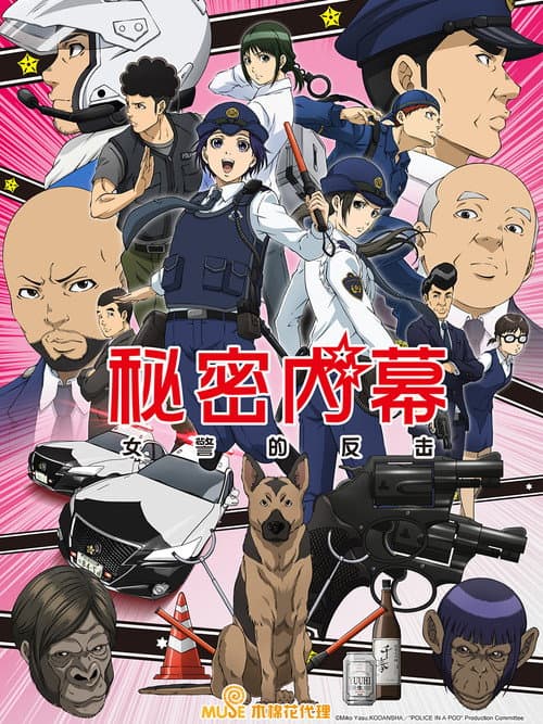 秘密内幕：女警的反击海报