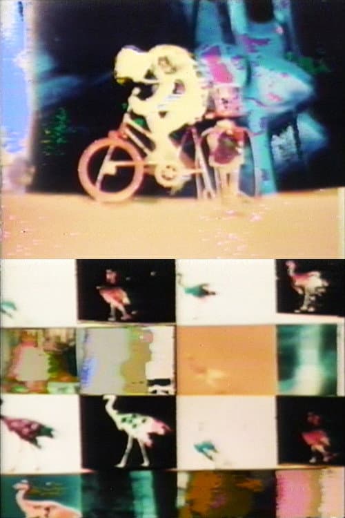 生物的サイクル No.3海报