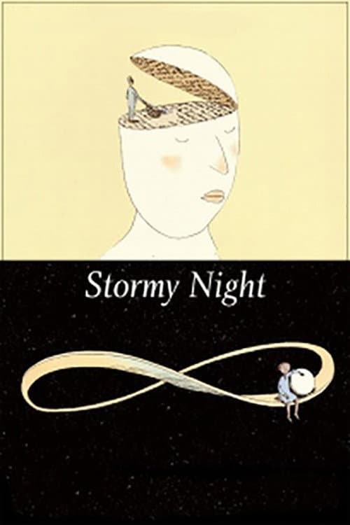 暴风雨之夜海报