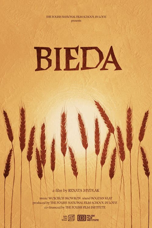 Bieda海报