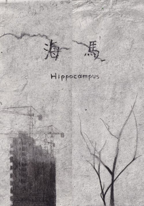 Hippocampus海报