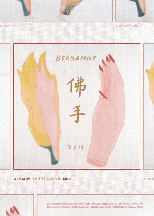 Bergamot海报