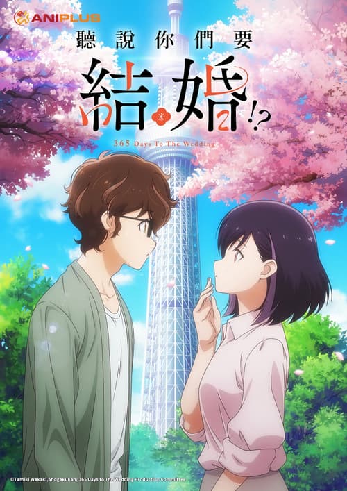 真的要结婚吗海报