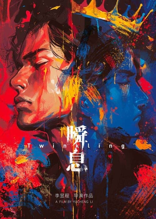 Twinkling海报
