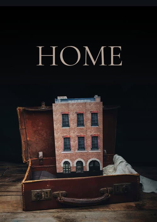 Home海报