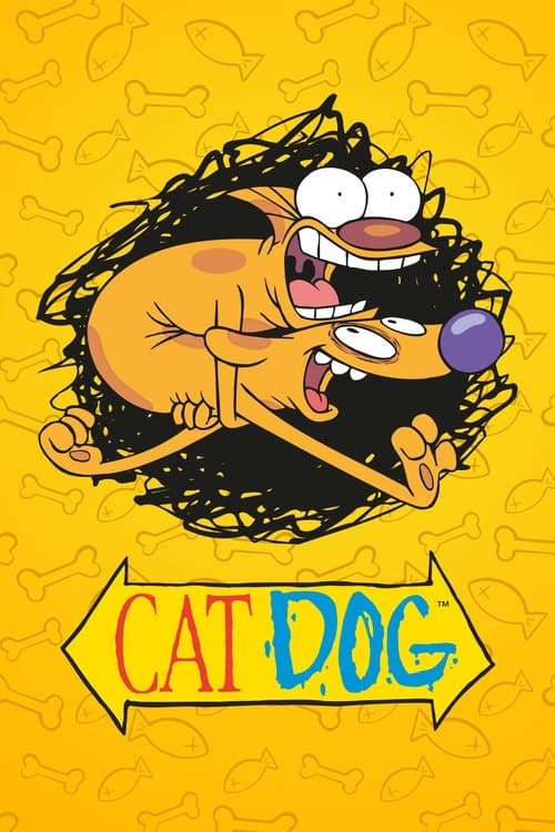 猫狗海报