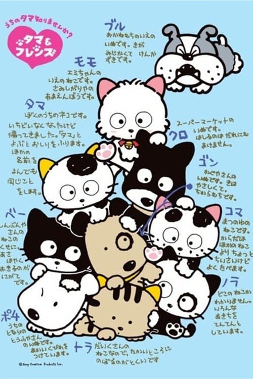 淘气猫 喵喵三丁目海报