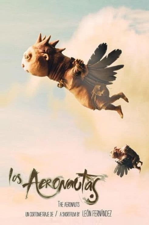 Los aeronautas海报