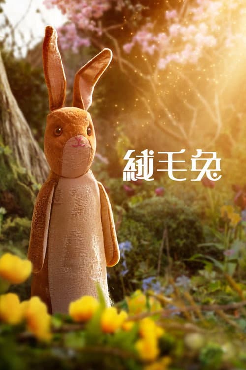 天鹅绒兔子海报
