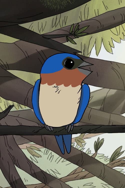 Birds海报