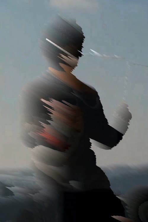 L'envol海报