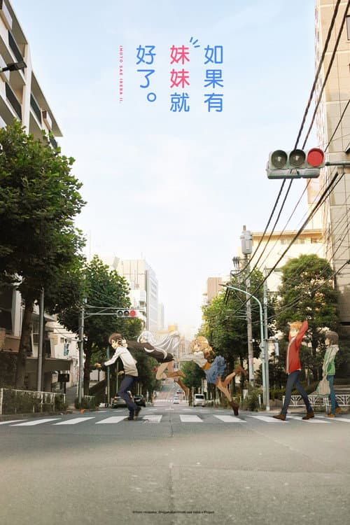 如果有妹妹就好了海报