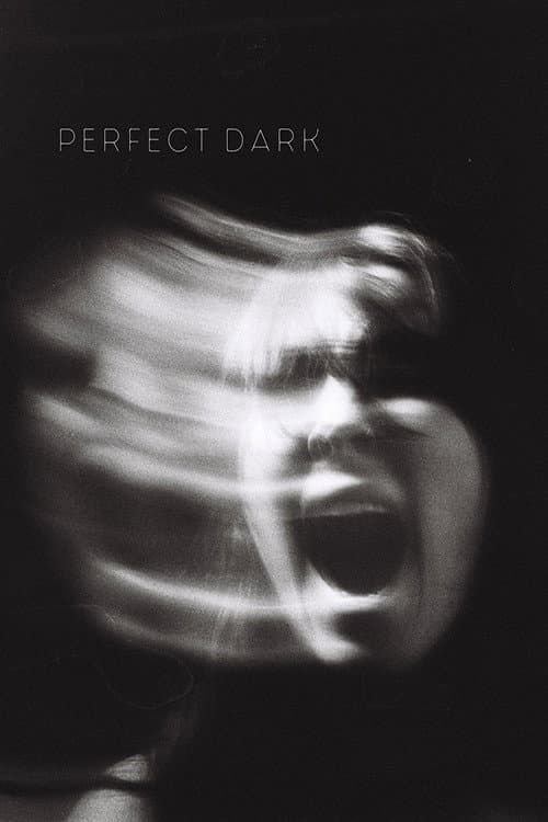 Perfect Dark海报