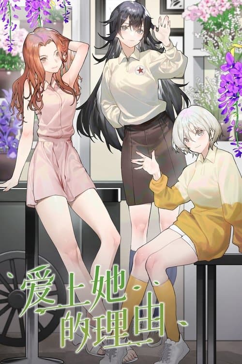 爱上她的理由海报