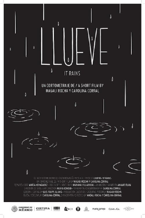 Llueve海报