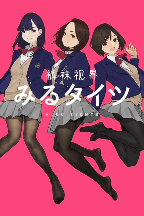裤袜视界海报