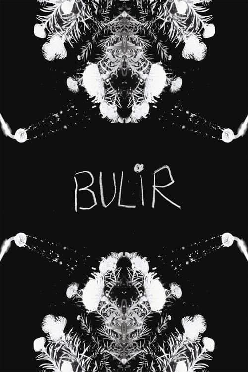 BULIR海报