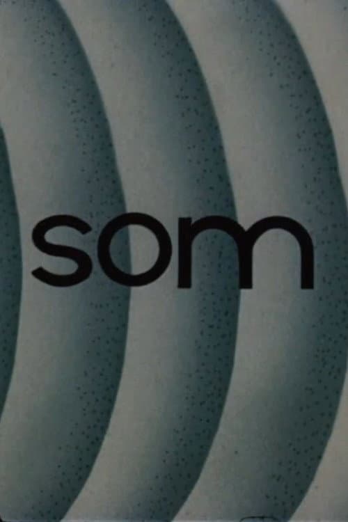 Som海报