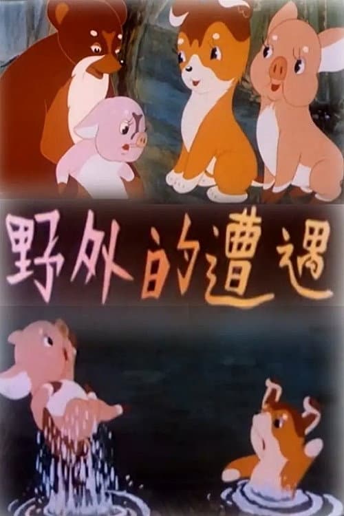 野外的遭遇海报