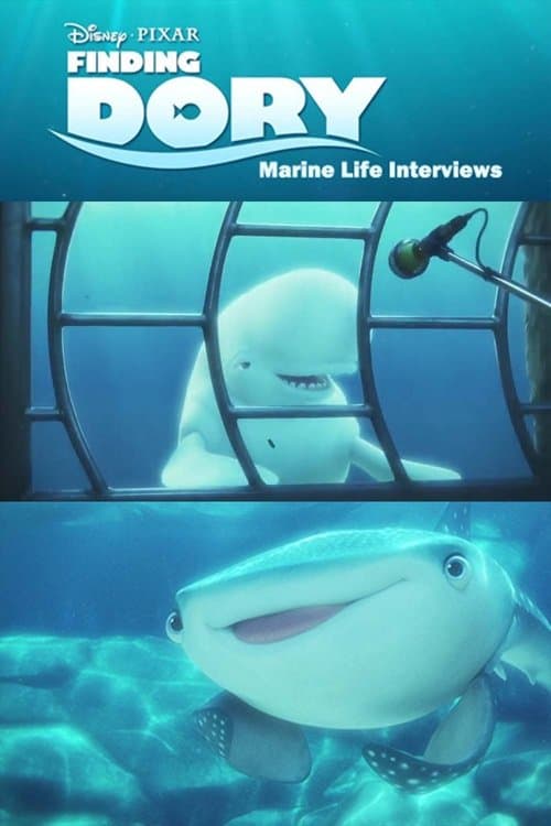 海洋生物访谈海报