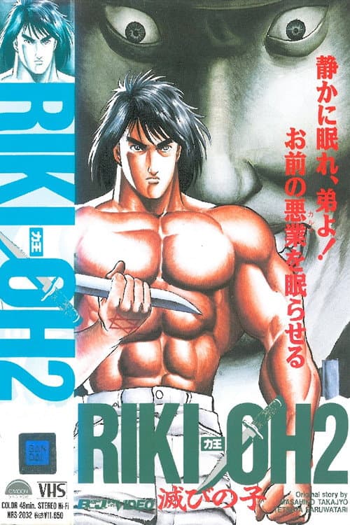 力王OVA2：毁灭之子海报