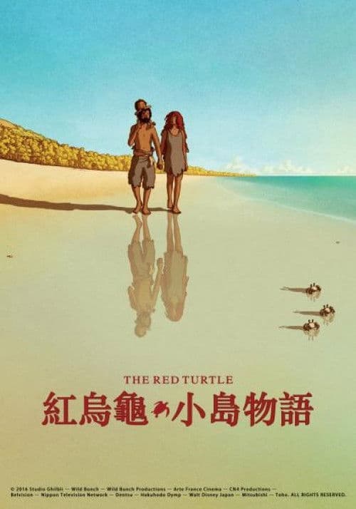 红海龟海报