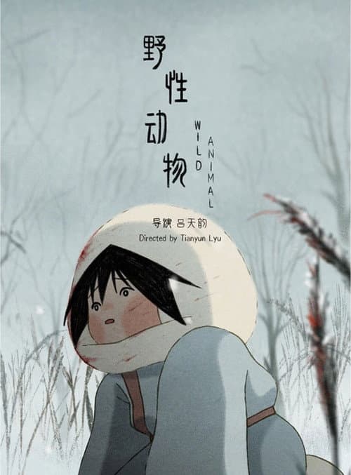野性动物海报