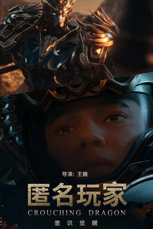 匿名玩家海报