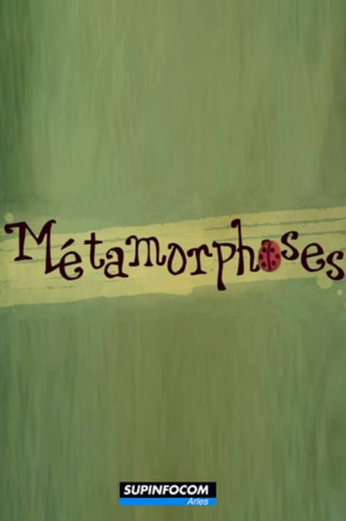 Metamorphoses海报