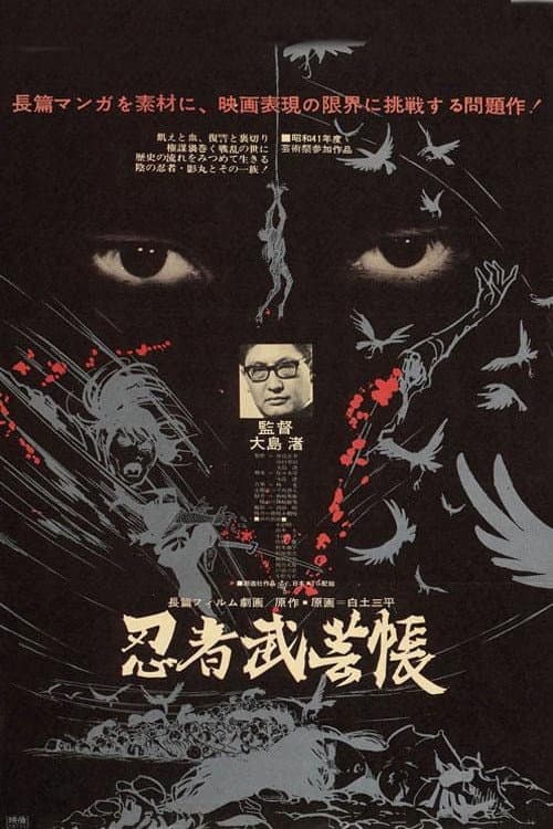 忍者武艺帐海报