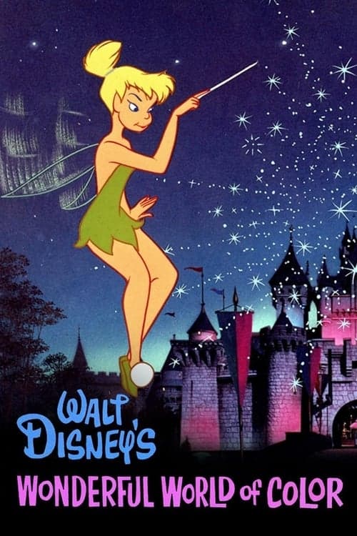 The Wonderful World of Disney海报
