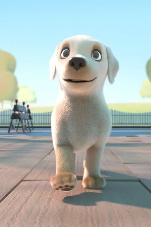 导盲犬小P海报