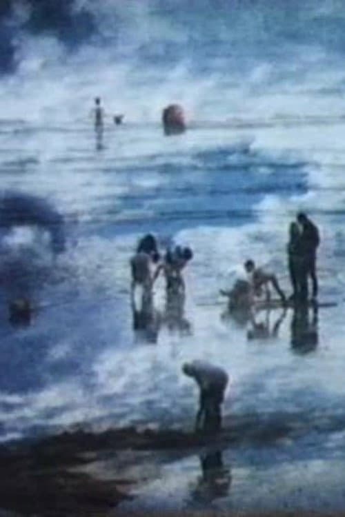 La plage海报