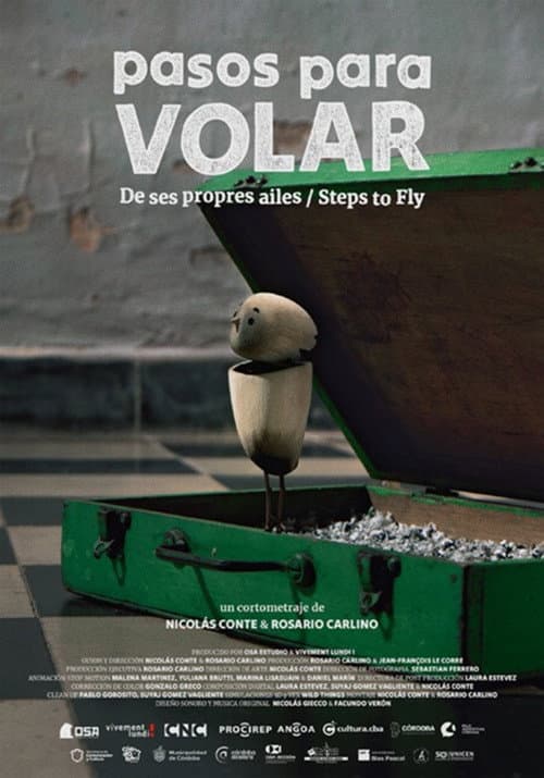 Pasos para volar海报